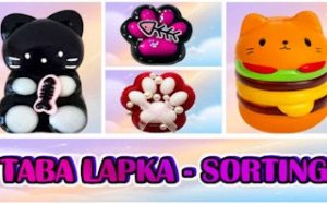 Taba Lapka Sorting Puzzle