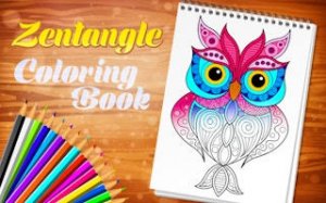 Owl Patterns Coloring Game