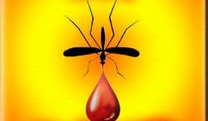 Idle MOSQUITO Online Game
